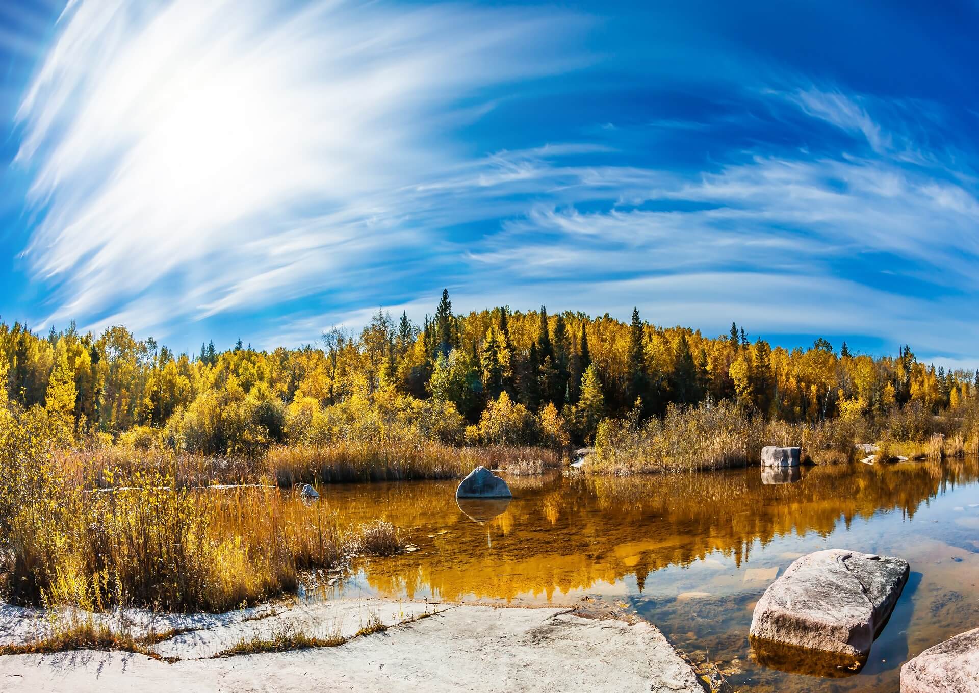 A prairie scene in fall. 