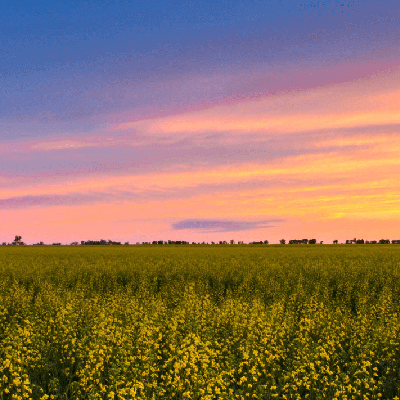 a prairie sunset.